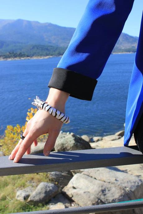 Image Hosted by ImageShack.us