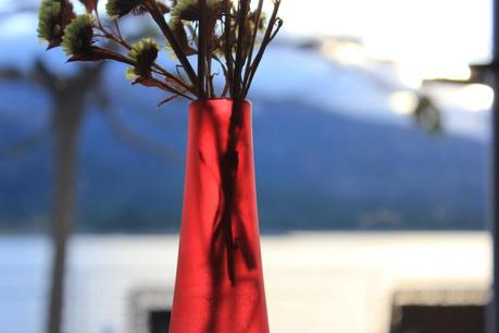 Image Hosted by ImageShack.us