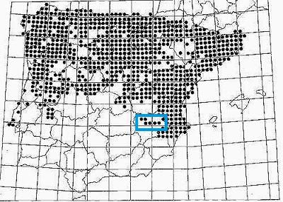 Enmendando errores y bimbos a estas alturas de mi vida