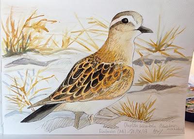 Enmendando errores y bimbos a estas alturas de mi vida