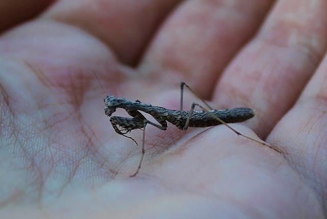 Últimas noticias | Acuario de agua dulce y últimas salidas de campo