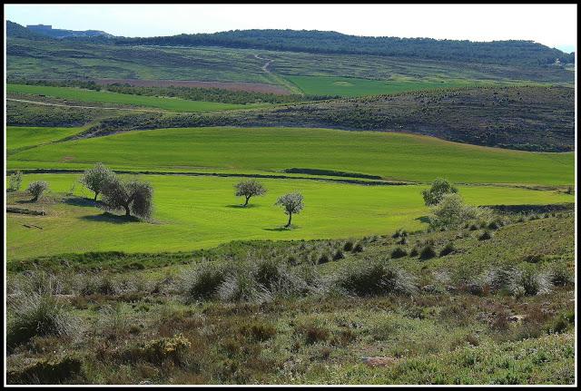 Bienvenidos a mi 'patch' nº 1: la Sierra de Chinchilla