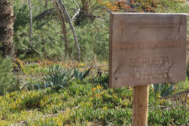 Zona en ¿regeneración?