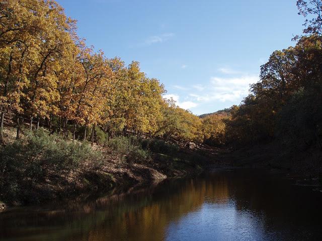 No a la venta de montes públicos en Castilla-La Mancha