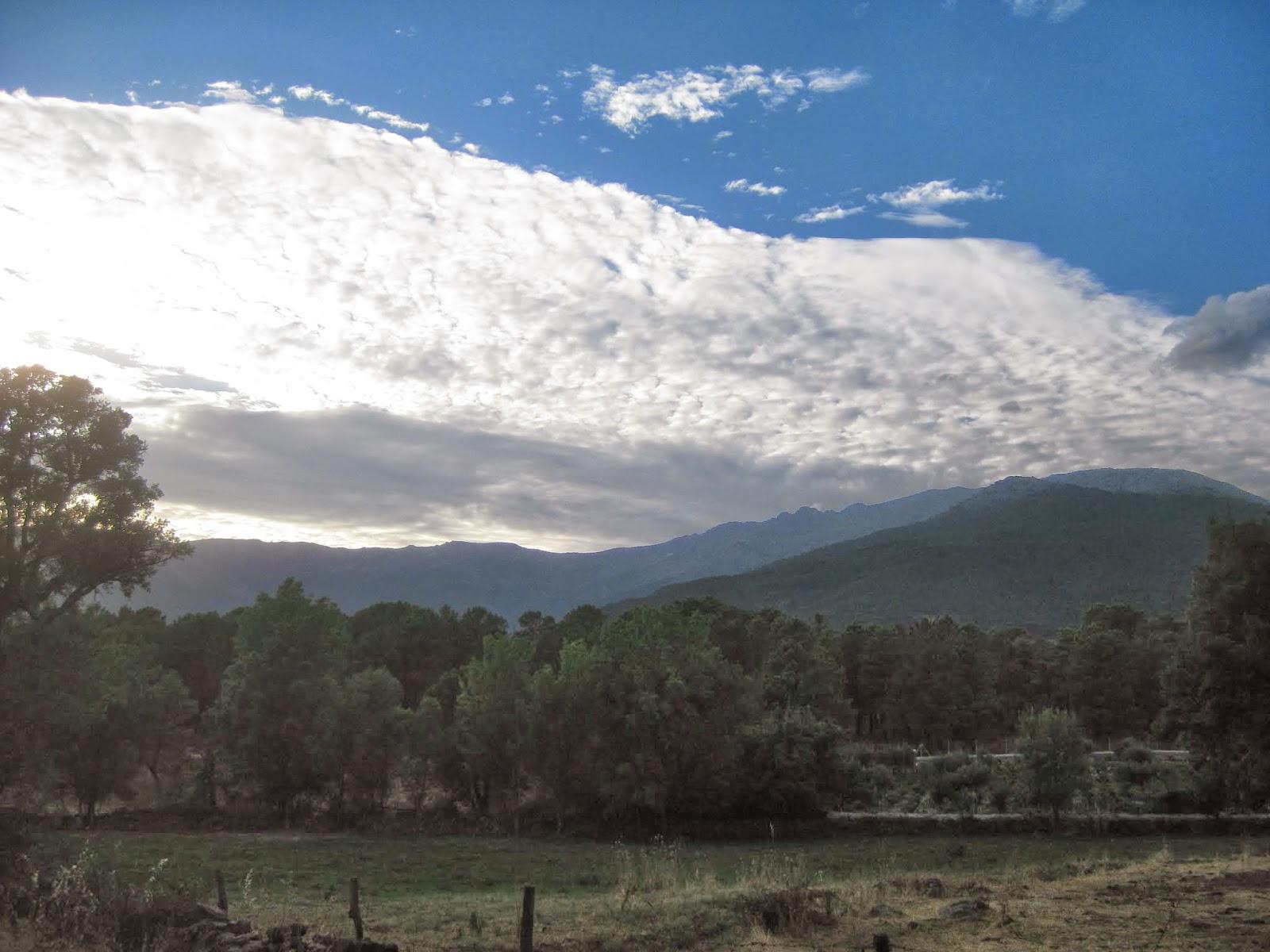 ¿Como respondes al miedo con cobardía o con valentía?