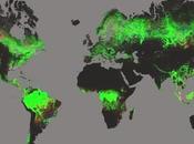 Mapa Global Deforestación