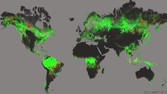 Mapa Global de la Deforestación