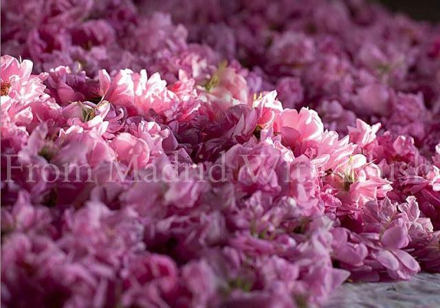 J'Adore Dior 'Le Parfum' The Film