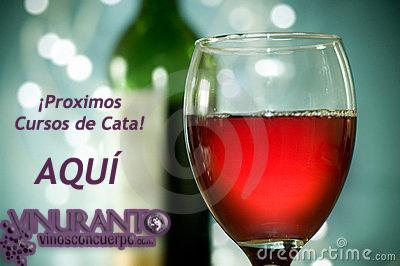 APRENDE DE VINOS ESP cop