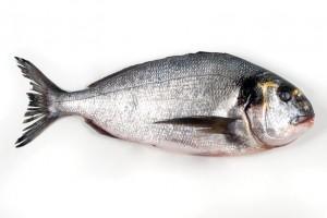 Pescado de consumo habitual: Pescado semigraso Dorada