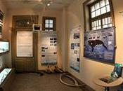 Muestra educativa “Ballena Franca Austral: Investigar para Conservar” (Puerto Madryn, Argentina)