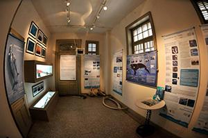 Investigar para conservar - Puerto Madryn