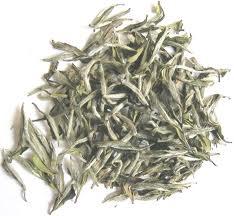 té1 Propiedades del té blanco o elixir de belleza y juventud