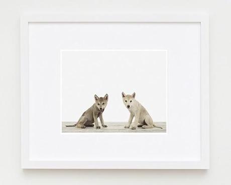 Una dormitorio infantil compartido / Una dormitorio infantil compartido /