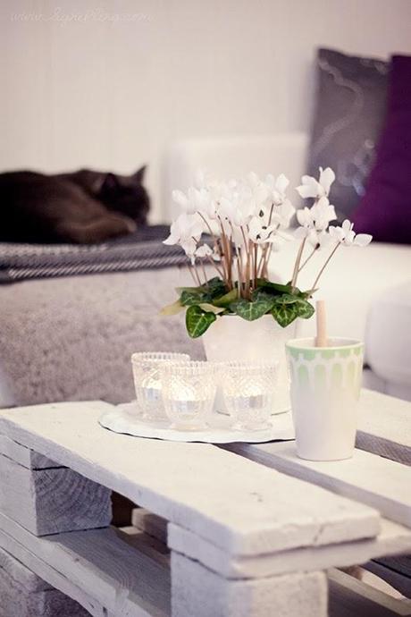 6 ideas de centros Navideños ¿con cual te quedas?