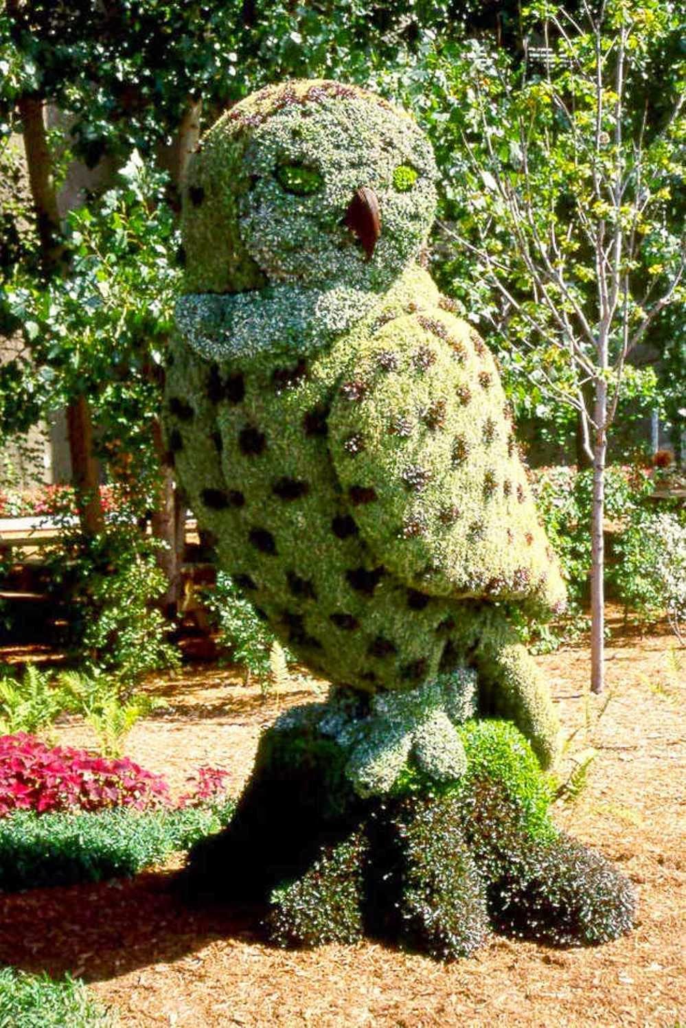 JARDINES CON FIGURAS DE ANIMALES Y DE...