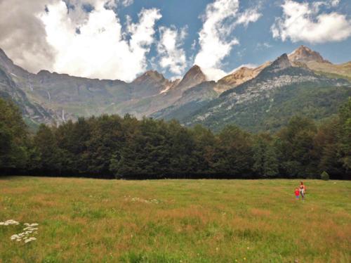 Pradera de Pineta