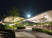 Cobertores orgánicos