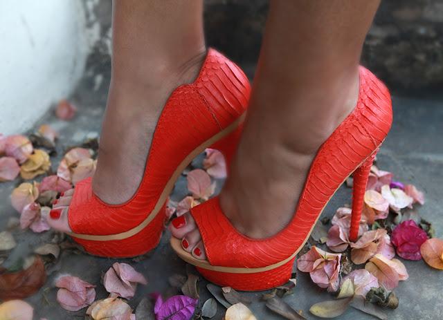 Zapatos Coral de Lamb patty arata blog