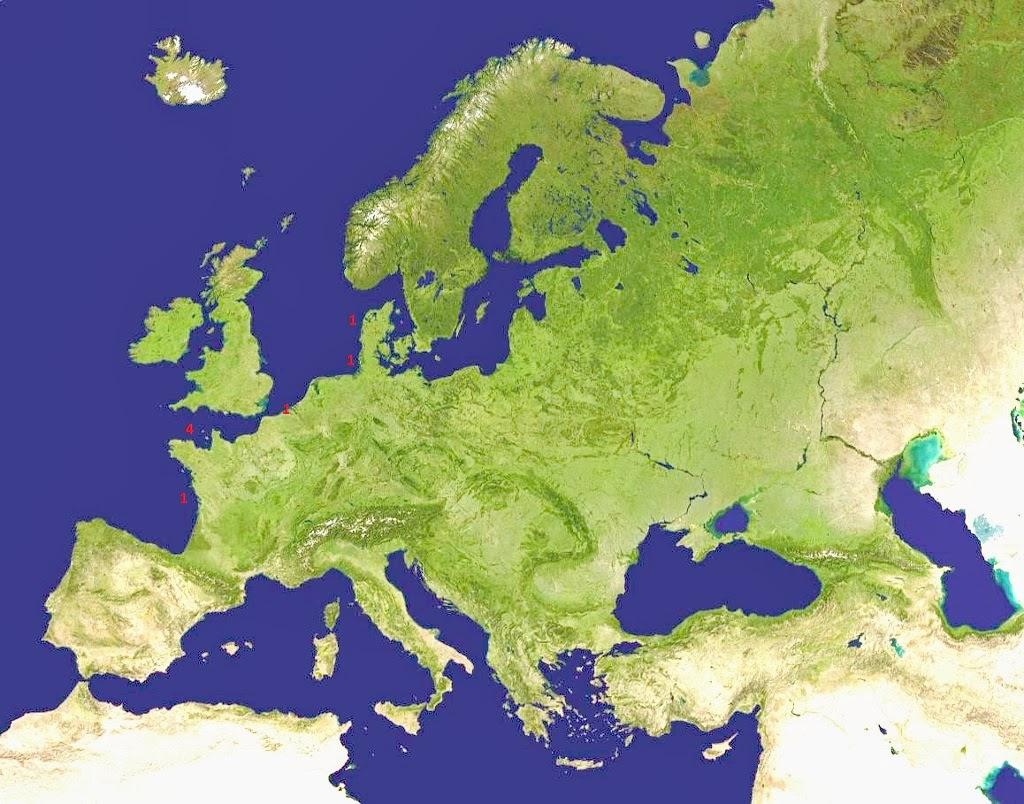 Algunas gaviotas anilladas (1)