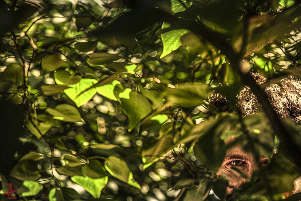 fotógrafos españoles