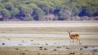 10 Parques nacionales para visitar este otoño