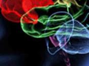 ictus amenaza también jóvenes