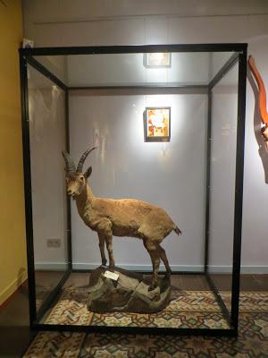 El oficio de la taxidermia