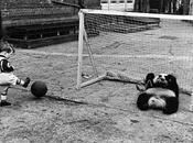 Selecciones Santiago femeneninas masculinas, Alevín, Infantil Cadete Entrenamientos 3/12 29/11