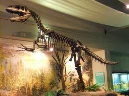 El Escroto humano, el primer dinosaurio de la historia El Escroto humano, el primer dinosaurio de la historia