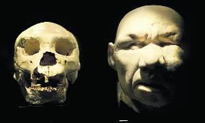 Cráneo de Homo Heidelbergensis