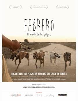 Febrero, el miedo de los galgos