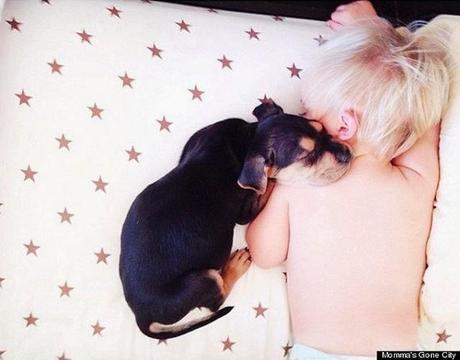 El cachorro Theo y un bebé durmiendo que son la sensación de Internet. Las siestas de Theo y Beau, sensación de Internet