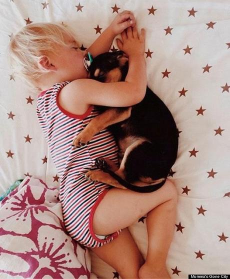 El cachorro Theo y un bebé durmiendo que son la sensación de Internet. Las siestas de Theo y Beau, sensación de Internet