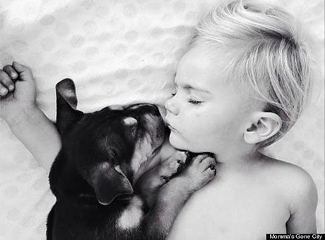 El cachorro Theo y un bebé durmiendo que son la sensación de Internet. Las siestas de Theo y Beau, sensación de Internet