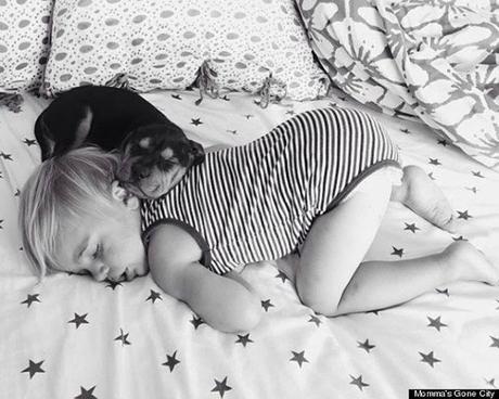 El cachorro Theo y un bebé durmiendo que son la sensación de Internet. Las siestas de Theo y Beau, sensación de Internet