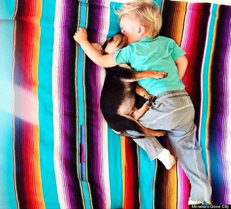 El cachorro Theo y un bebé durmiendo que son la sensación de Internet. Las siestas de Theo y Beau, sensación de Internet