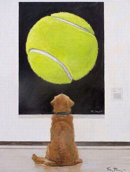 perro con pelota, pelota de tenis perro, perro mirando pelota, cuadro perro mira pelota