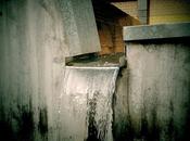 Dime presumes... Fuente