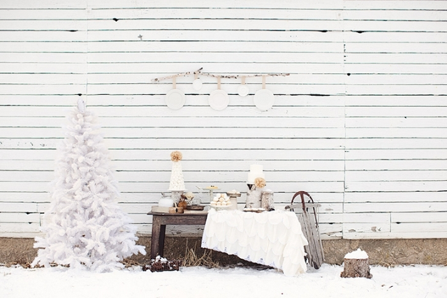 INSPIRACION PARA UNA BODA EN INVIERNO