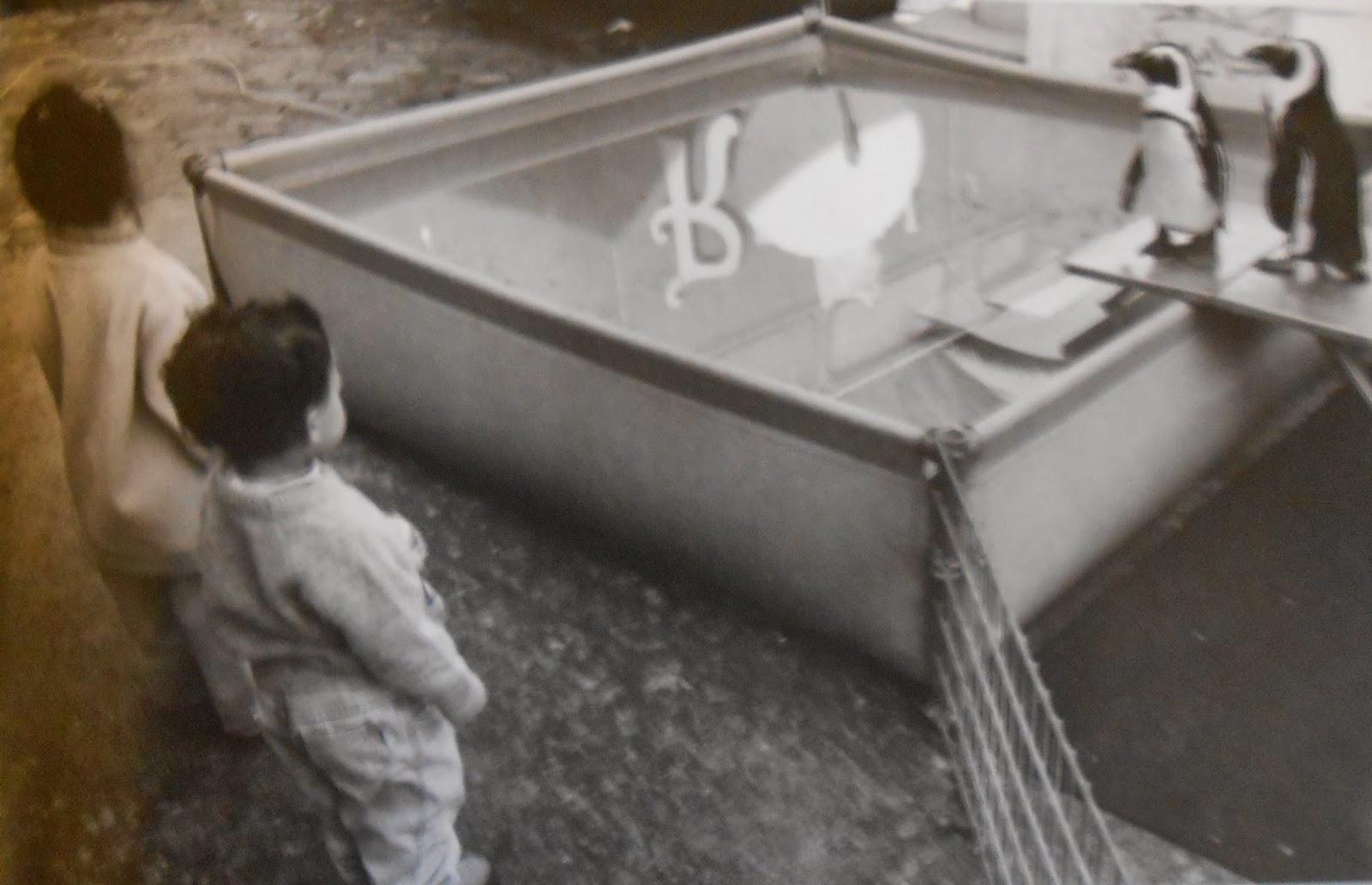 DEL BLOG ESTUPENDO DE MIQUEL TOT BARCELONA, ...24-11-2013...