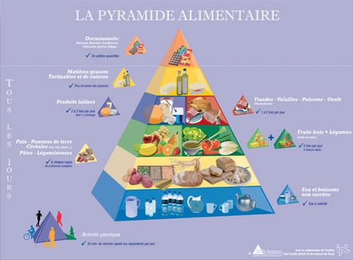 Pirámide alimentaria belga