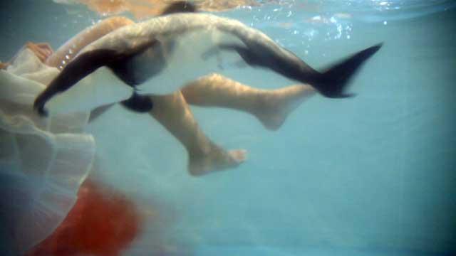 Quiero parir un delfín