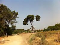 Camino de Santiago. De Barcelona al monasterio de Montserrat