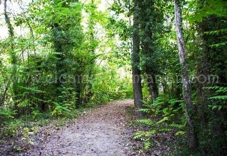 La Ruta del Agua, senderismo y cultura fundida con la naturaleza