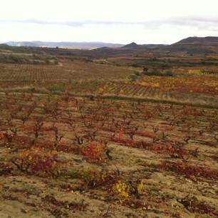 Snapshots of the week 1