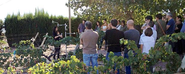 Enoturismo en Alicante: Enrique Mendoza