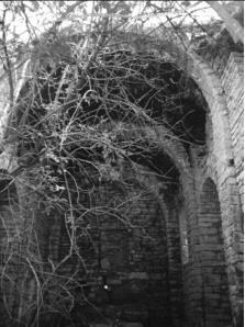 BERGUSA megustaelmedionatural