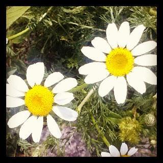 Octubre instagramizado Octubre instagramizado