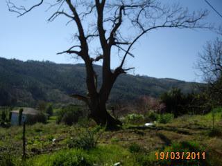 Jesús, el maestro...